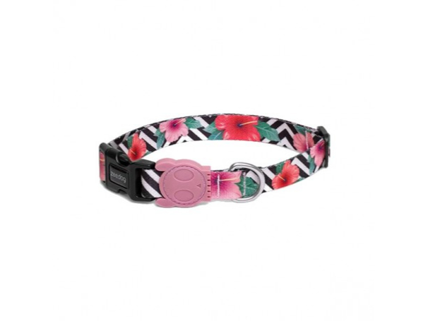 Collar Zeedog Mahalo Large