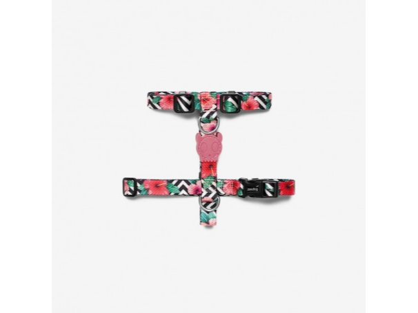 Arnes ZeeDog H Mahalo Medium