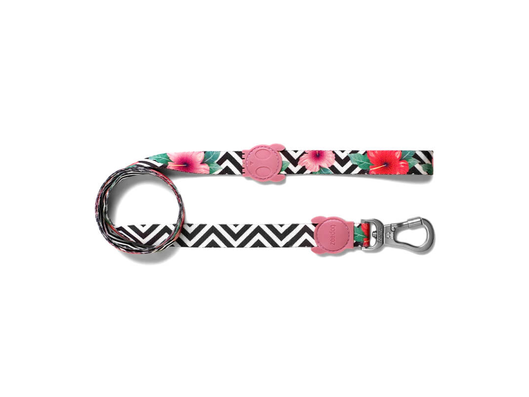 ZeeDog Correa Mahalo – L