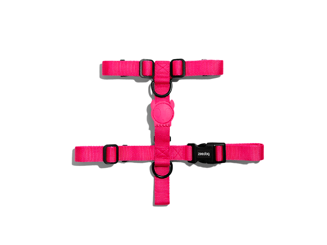 Zeedog H-Harness Pink Led Small