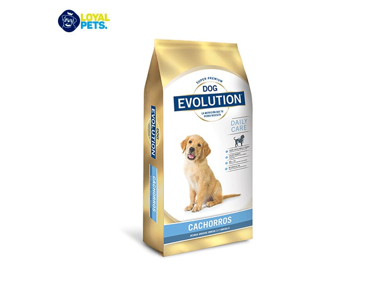 Dog evolution. puppy, 15 kgs