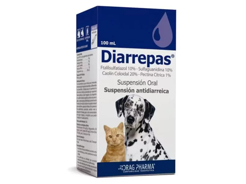 DIARREPAS ANTIDIARREICO 100ML
