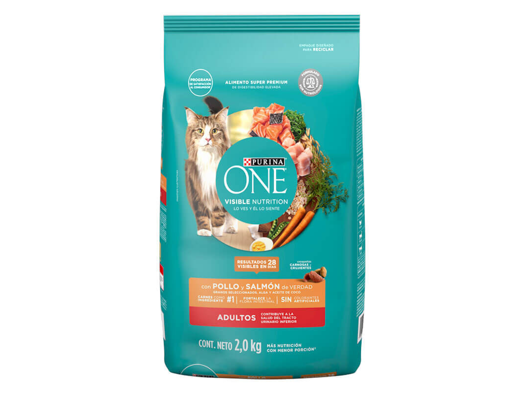 Purina One Adulto 2KG