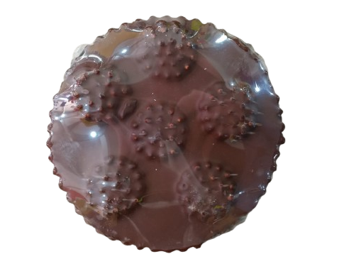 TORTA DULCE DE LECHE / MERENGUE / CHOCOLATE