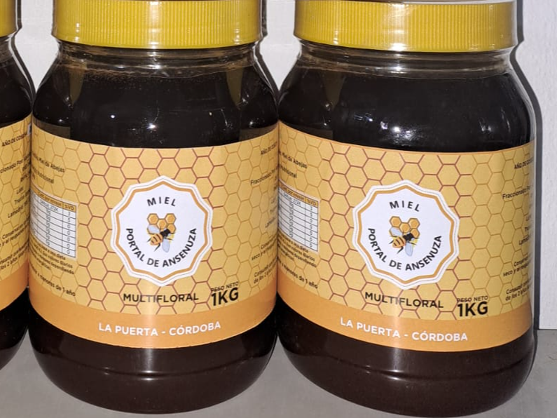 MIEL PURA DE ANSENUZA DE 1KG