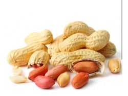 Maní Cáscara Premiun