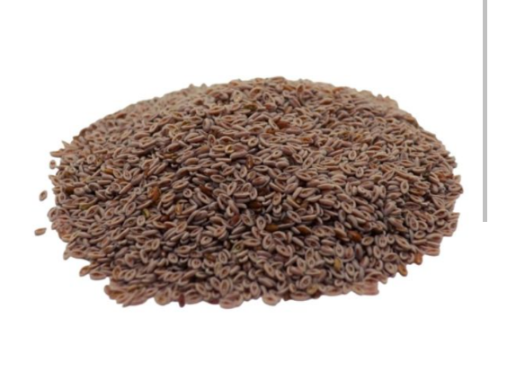Psyllium
