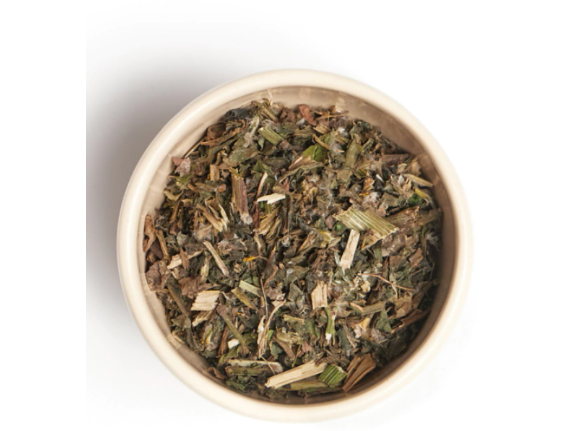 Amargo ( Diente de  león)