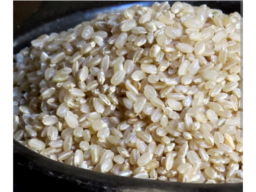 Arroz Yamani