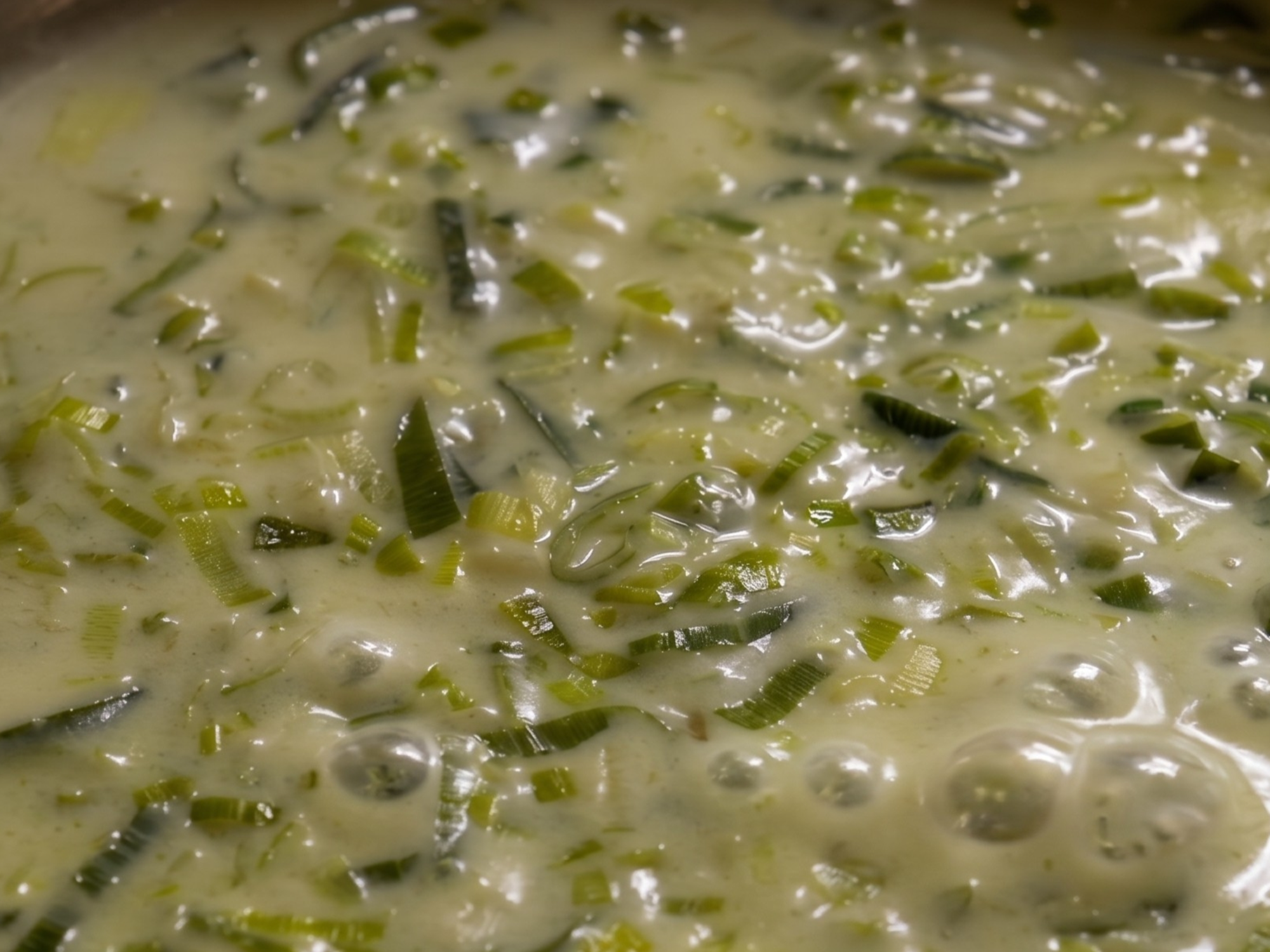 SALSA DE PUERROS