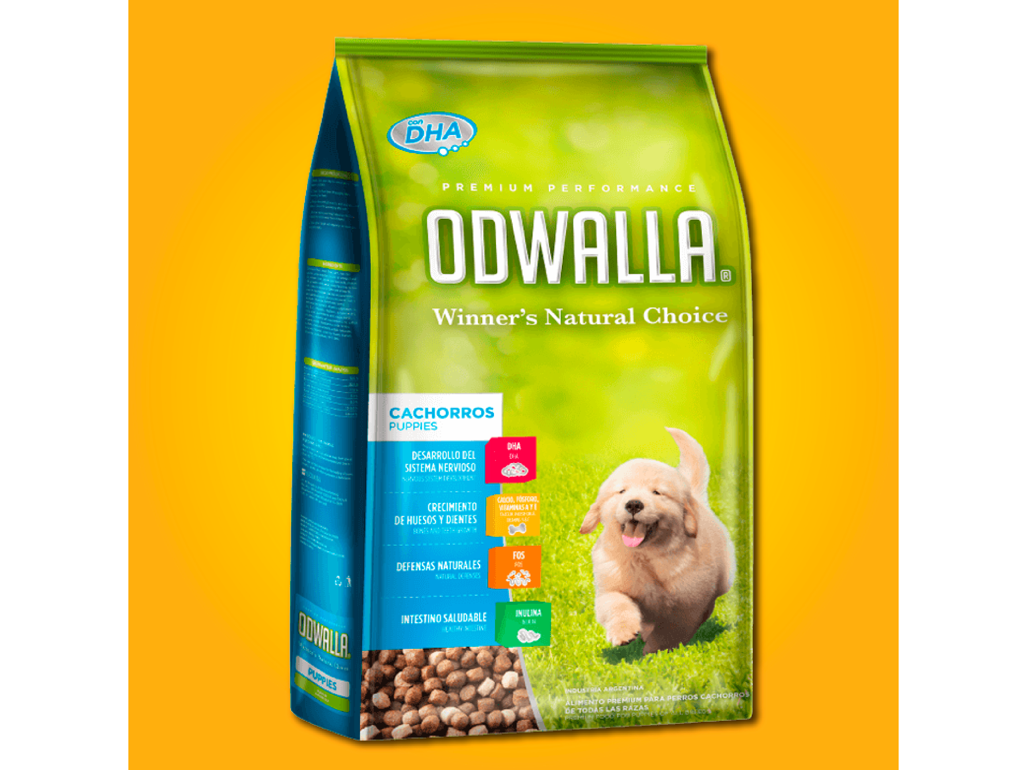 Odwalla