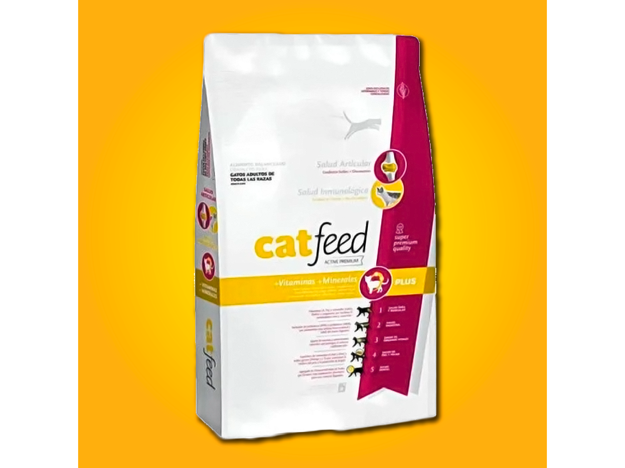 Cat Feed