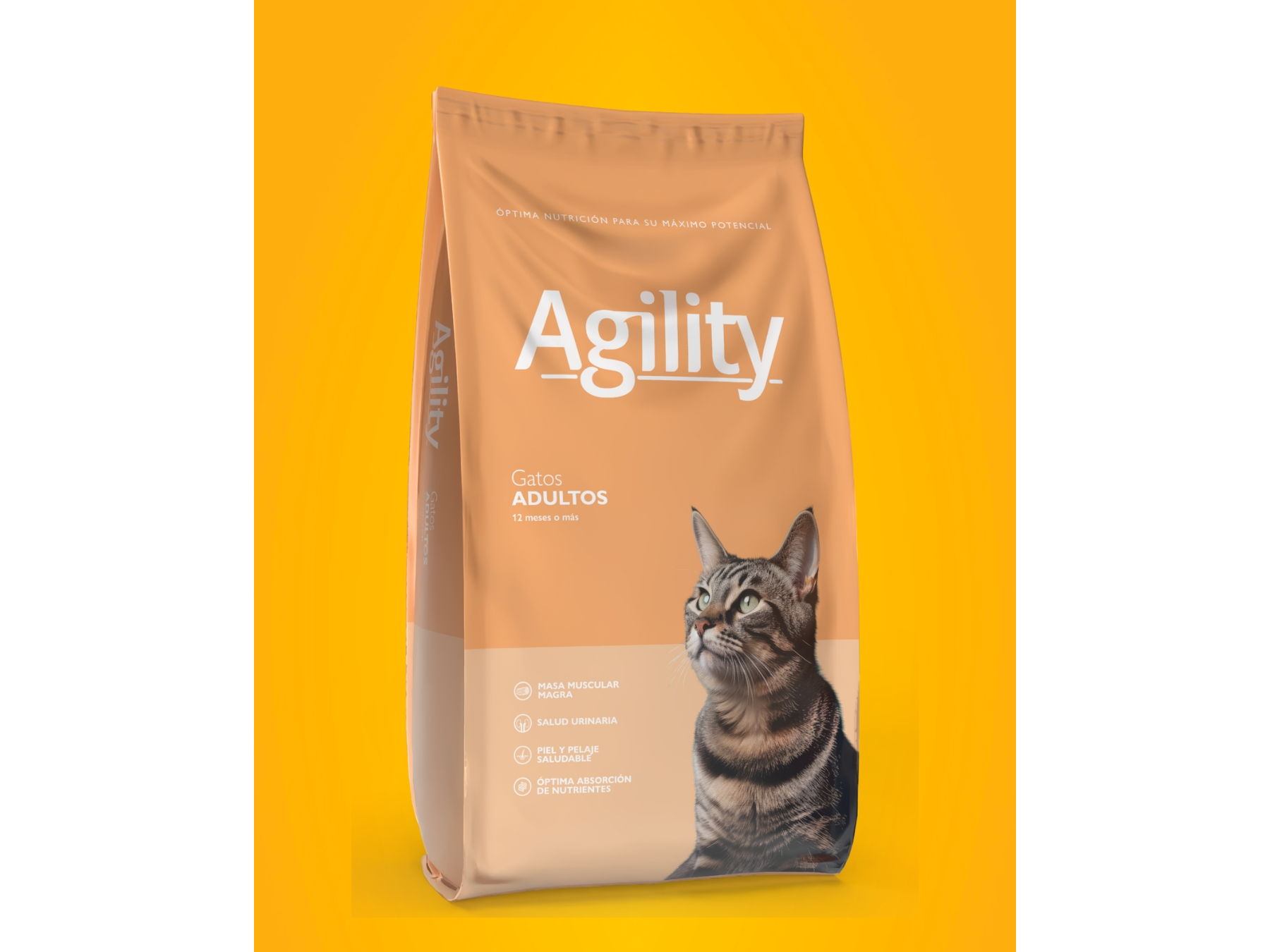 Agility