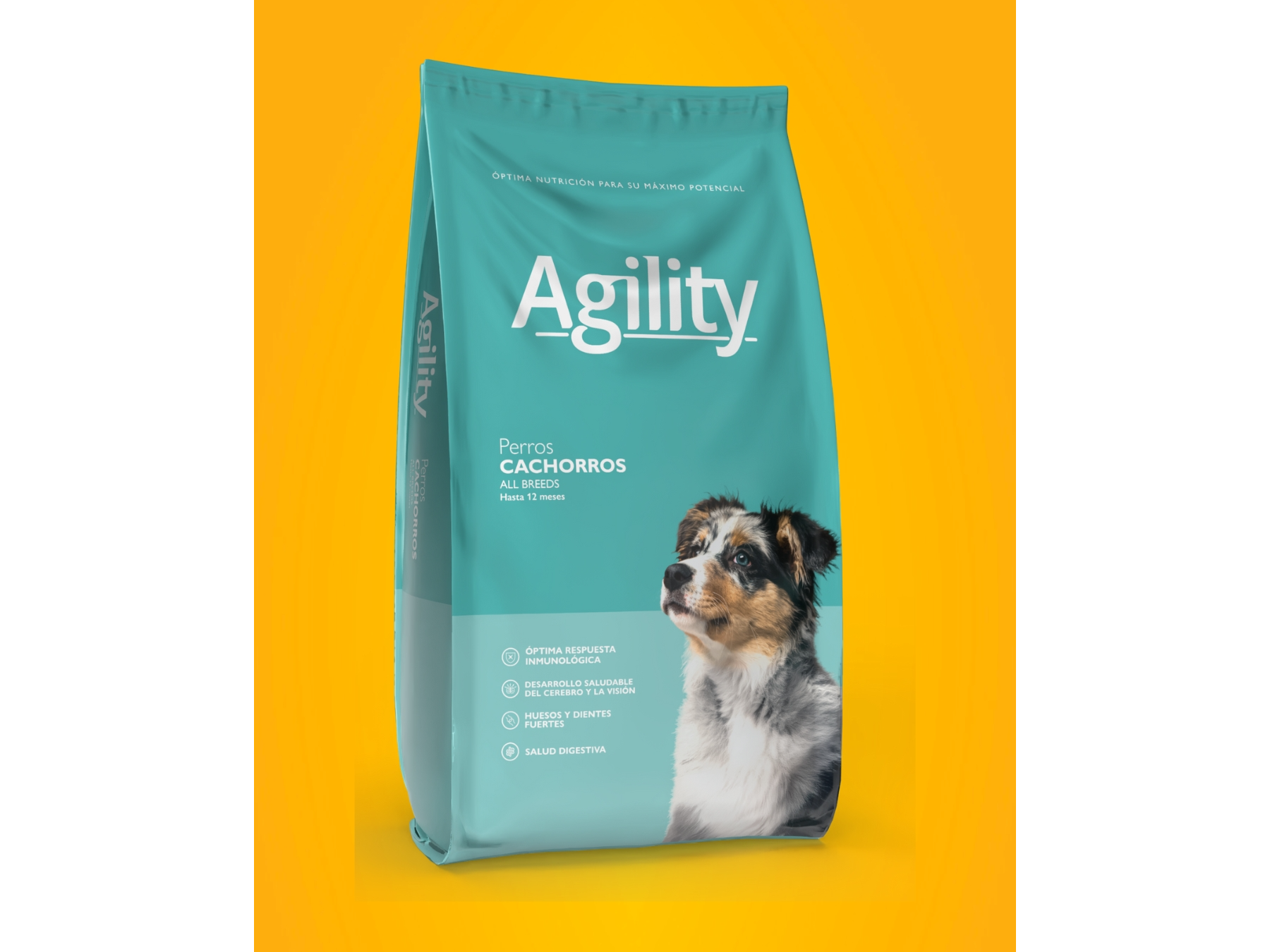 Agility
