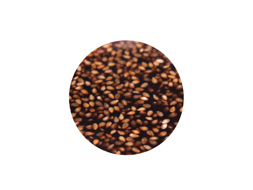 SALSA AGRIDULCE