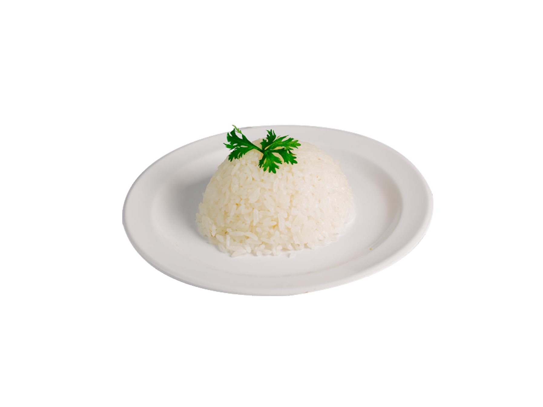 PORCIÓN ARROZ