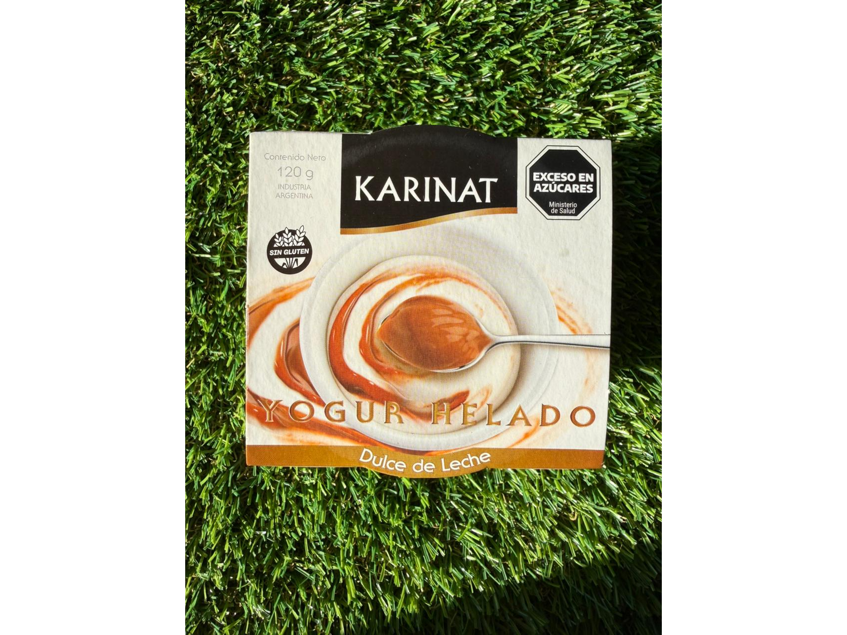 Yogur Helado Dulce de Leche