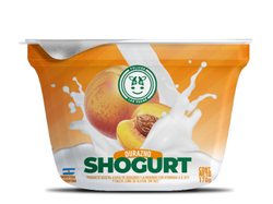 YOGURT DURAZNO 170 GR