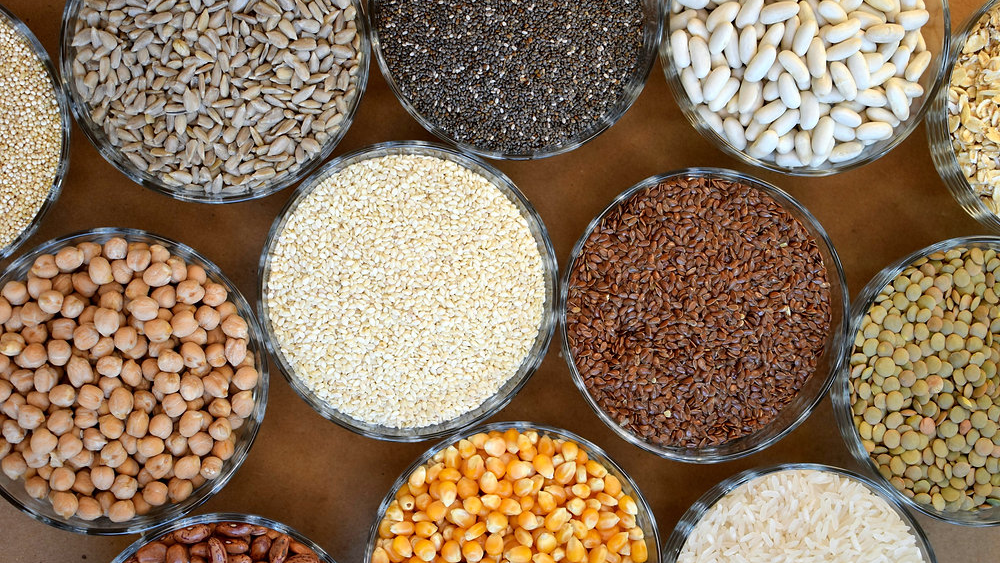 LEGUMBRES Y CEREALES