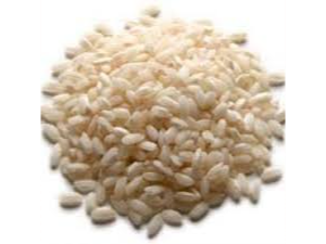 ARROZ CARNAROLI
