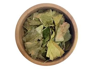 GINKGO BILOBA X 50 GR