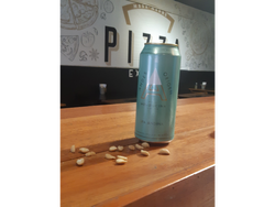 Mendocina IPA Andina (ANDES) 473 CC