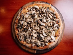 Hongos
