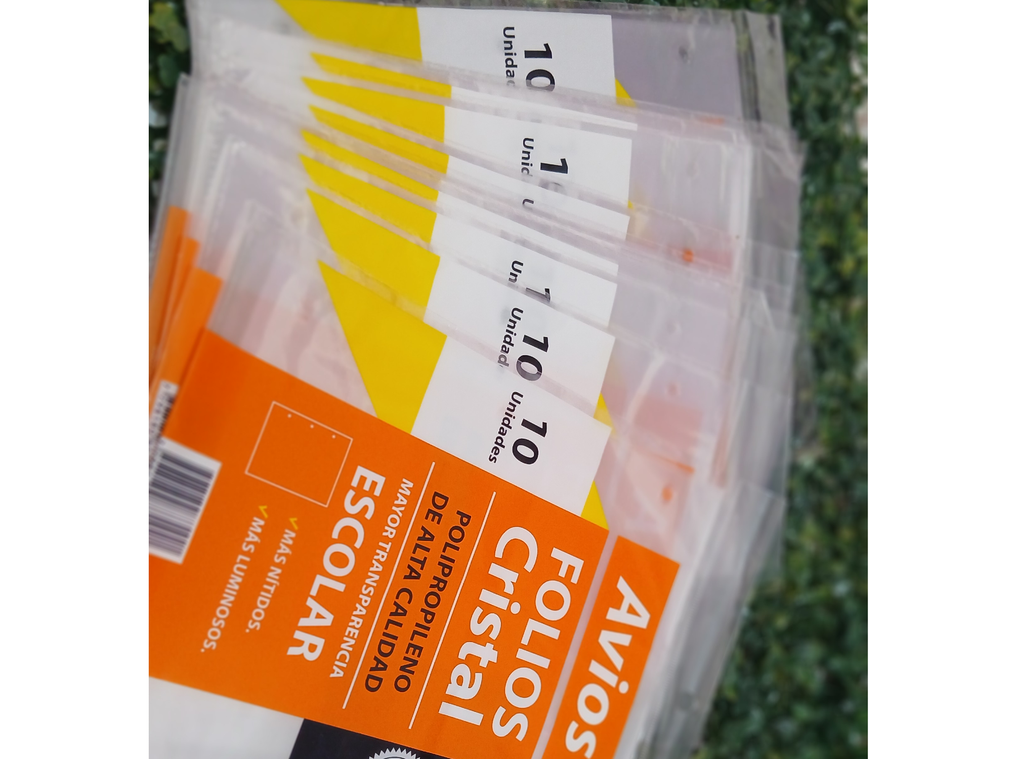 Paquete por 10 folios