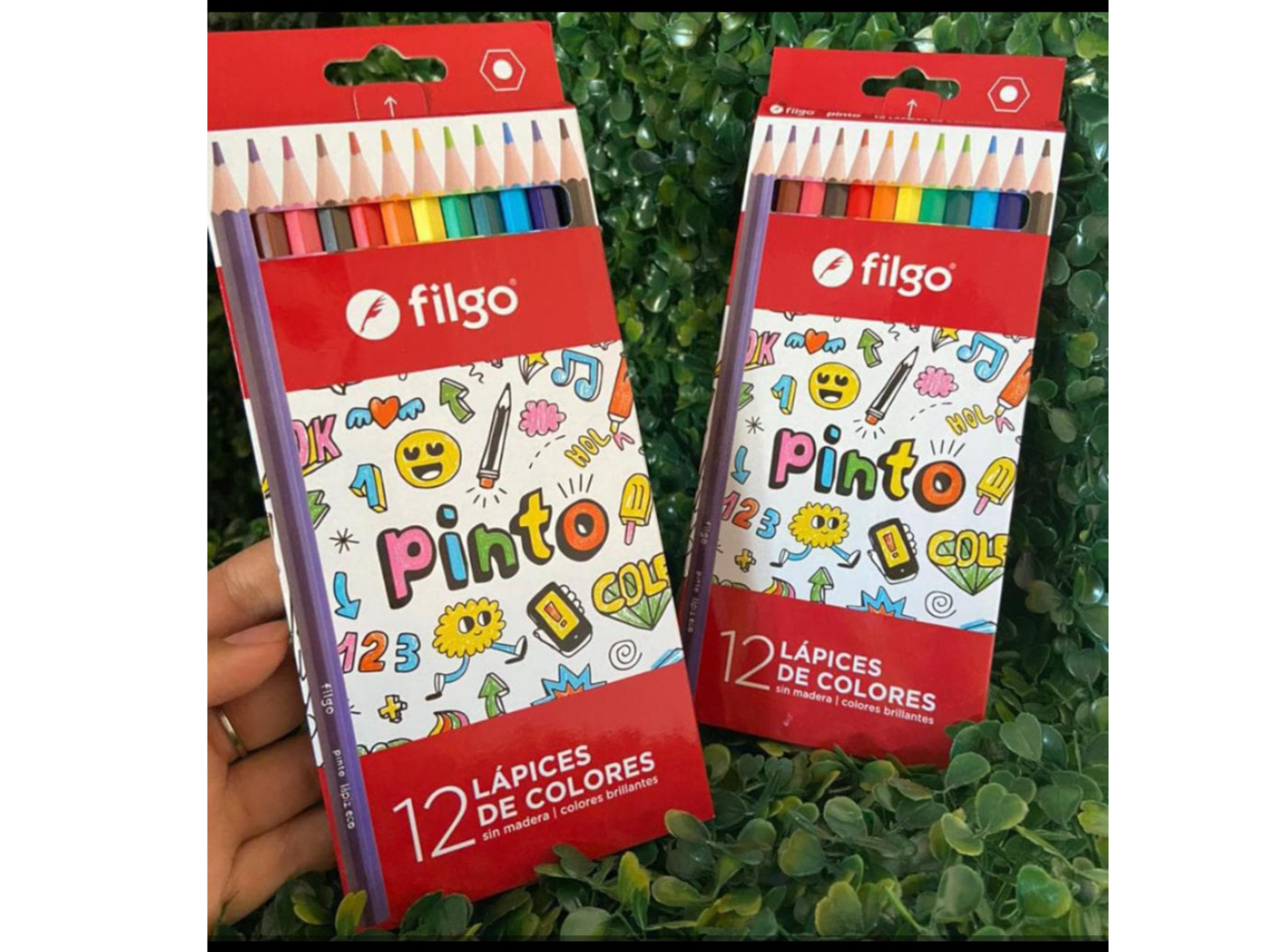 Caja de colores filgo