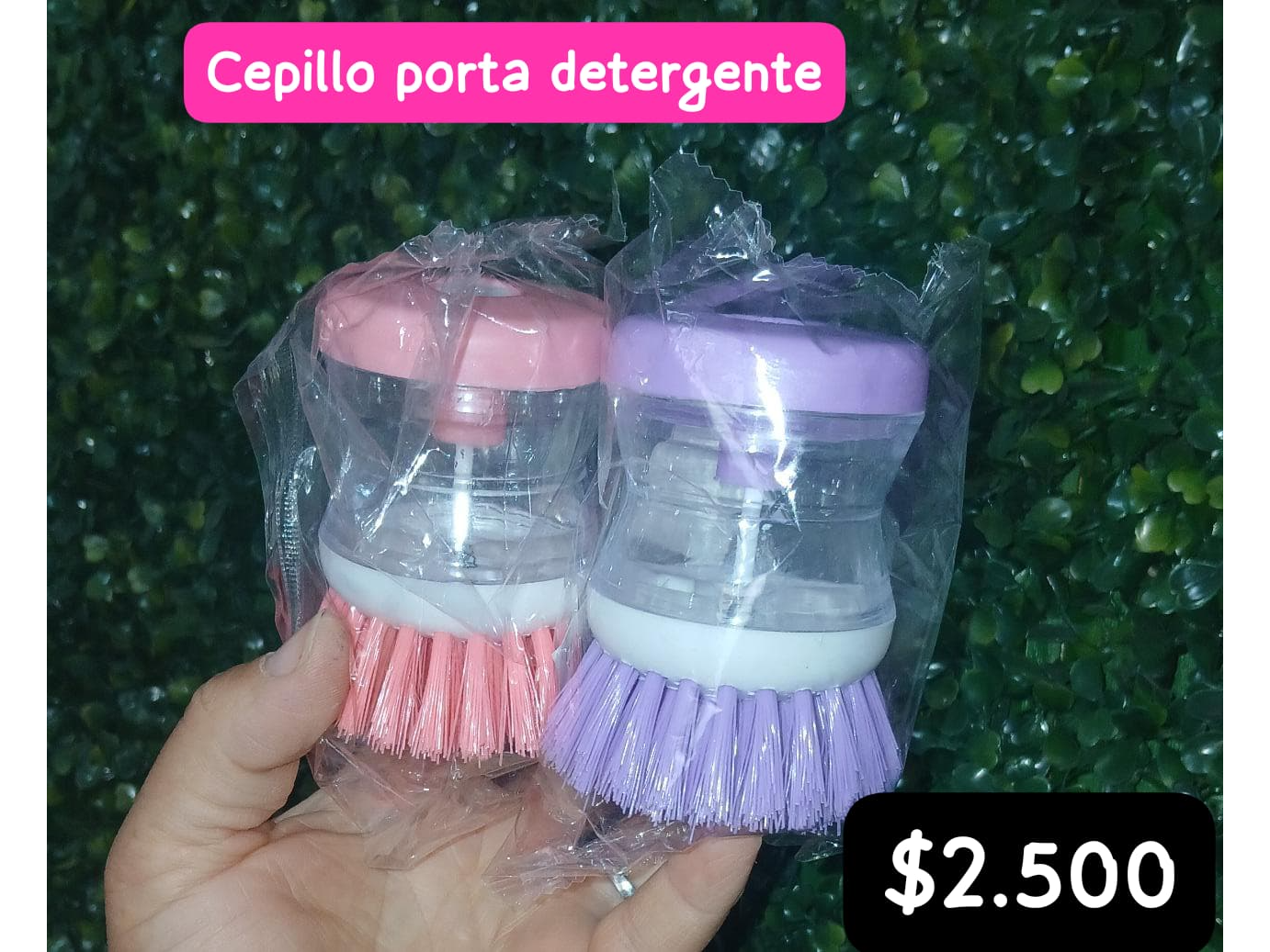 Capillo porta detergente