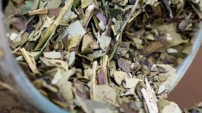 Yerba