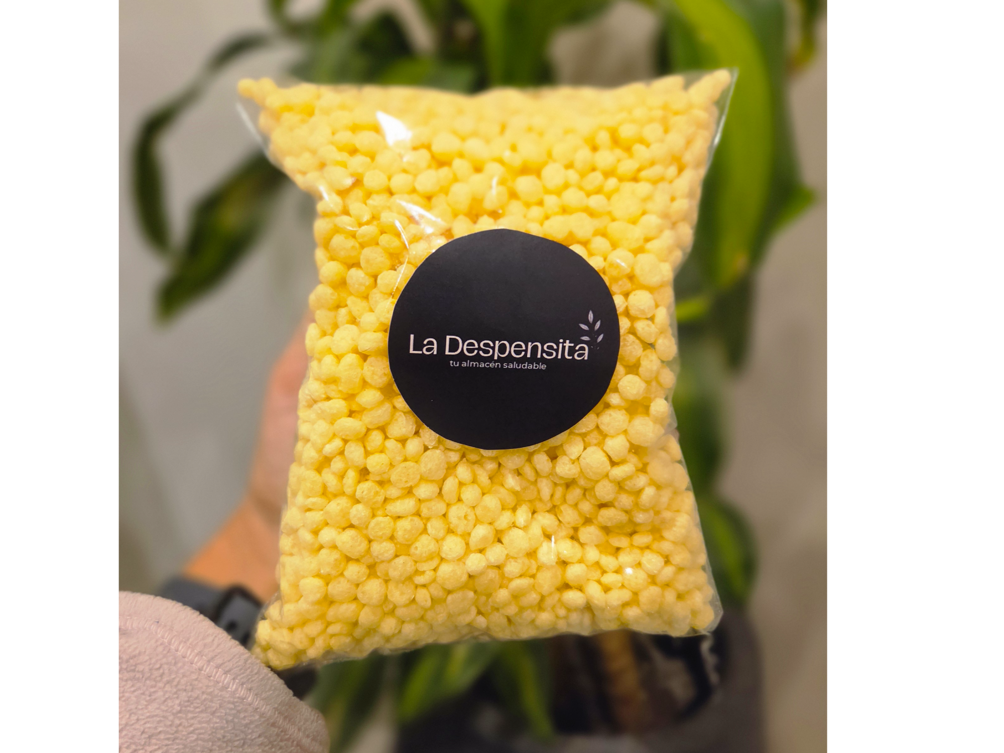 Quinoa pop