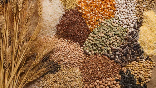 Legumbres / Semillas