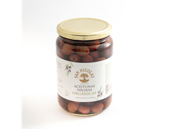 ACEITUNA NEGRA ORGANICA X 500GR