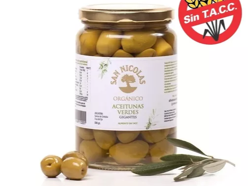 ACEITUNA VERDE ORGANICA X 500GR