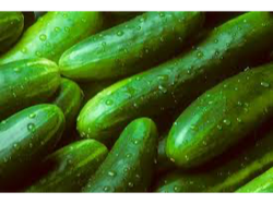 PEPINILLOS FRACCIONADOS