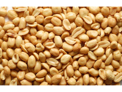 MANI REPELADO SALADO//SN SAL  X 1 KG MYM