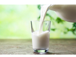 LECHE SACHET WINDY/YATASTO