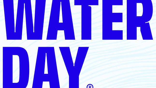 Productos individuales WATER DAY