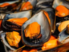 Mejillones 1/2 Valva