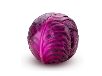 Repollo Morado