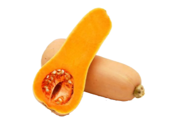 Calabacin