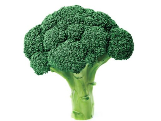Brocoli