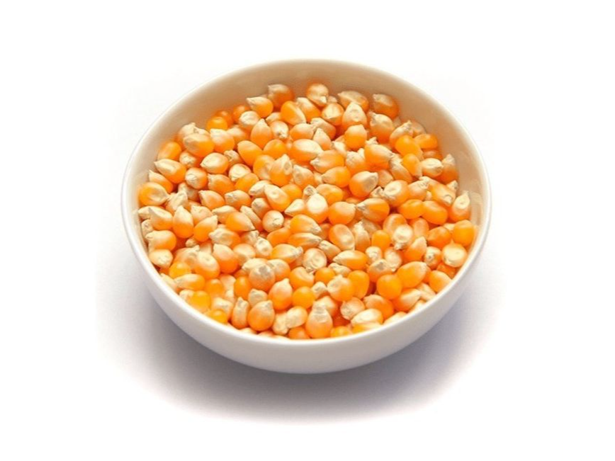 Maíz  pisingallo
