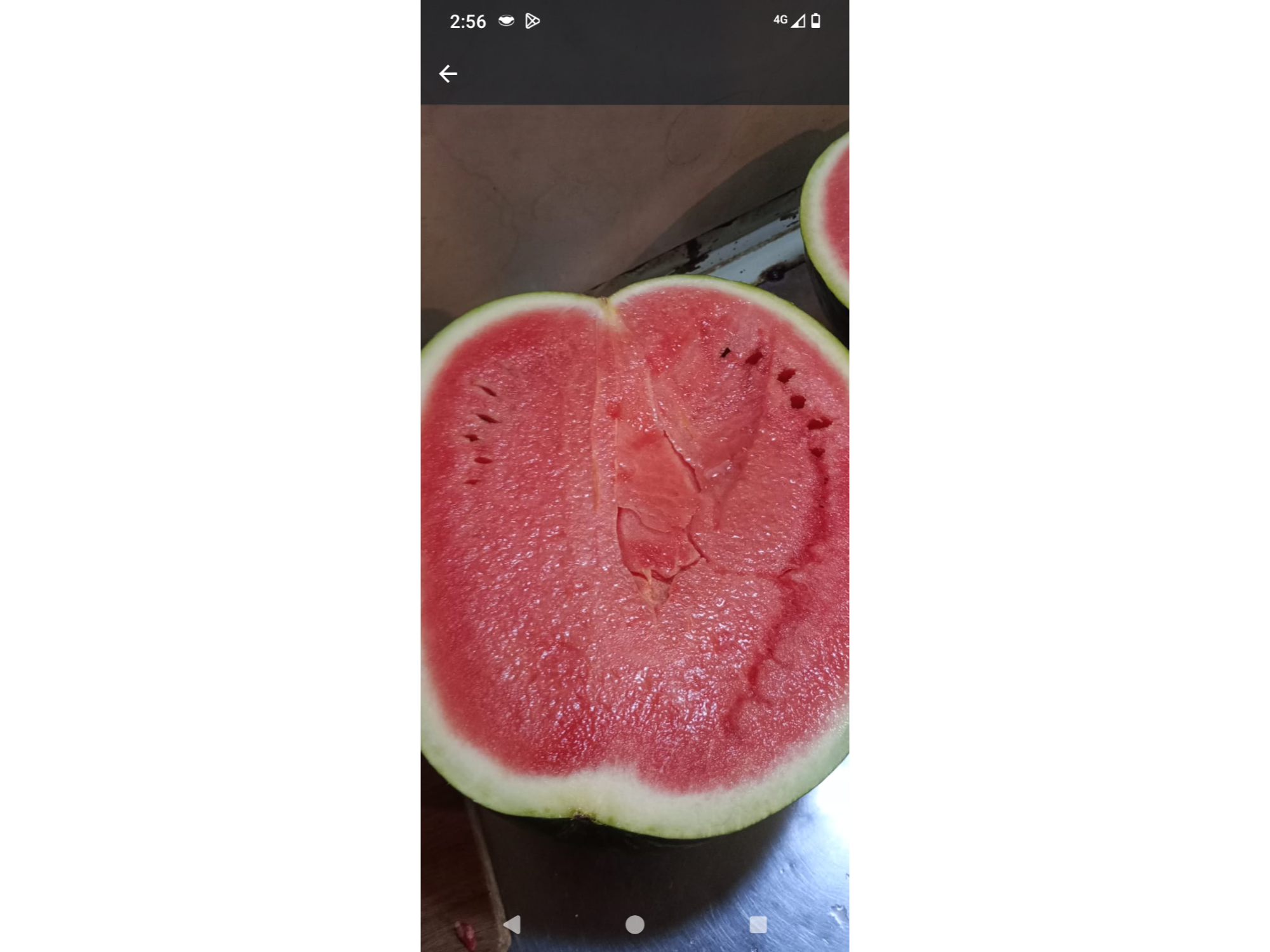 Sandia