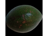 Palta nacional