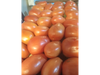 Tomate perita cod 3