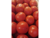 Tomate redondo chico