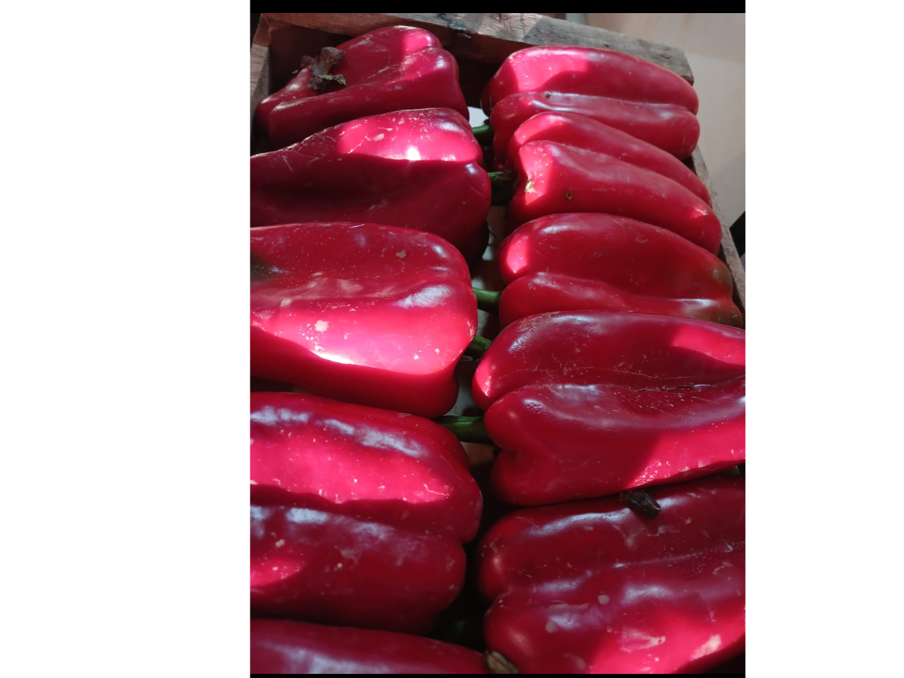 Pimiento rojo