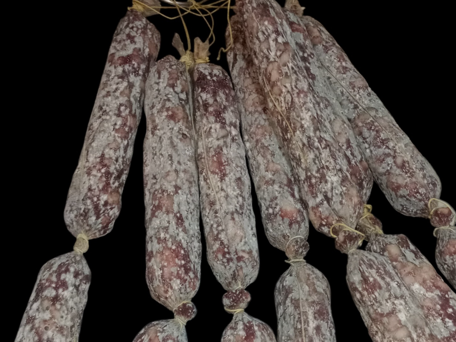 Salamines